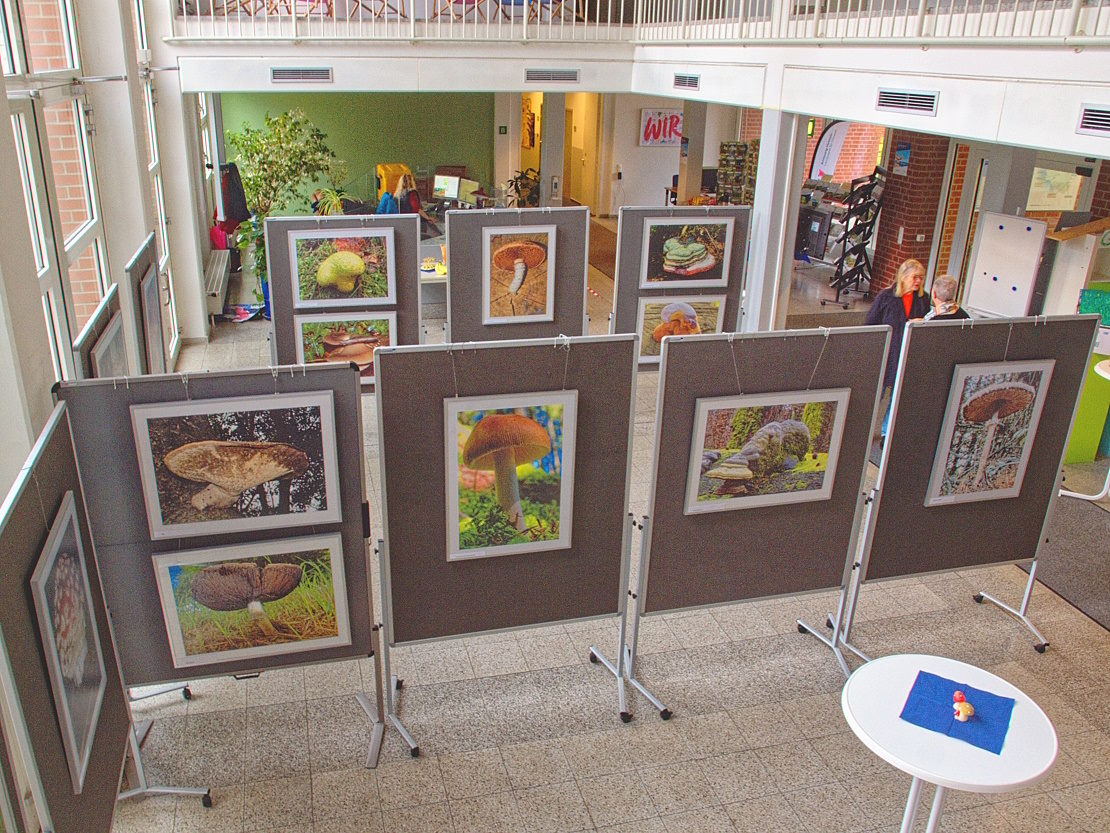 Blick auf Ausstellung nach Aufbau