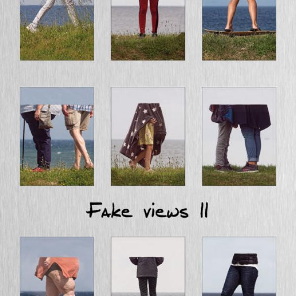 Fake views II